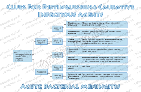 Acute-Bacterial-Meningitis